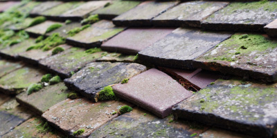 Penn roof repair costs